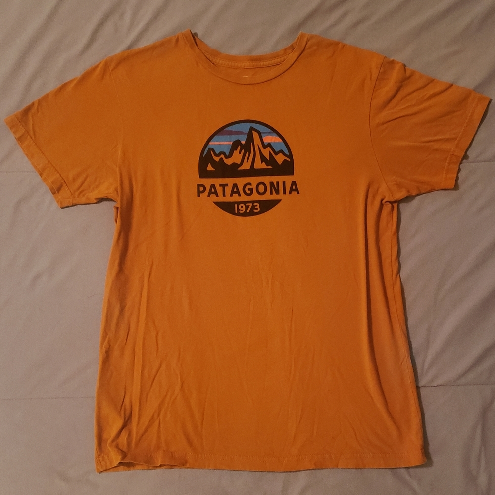 Patagonia mens' Fitz Roy tee